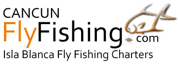 Fly Fishing Logo