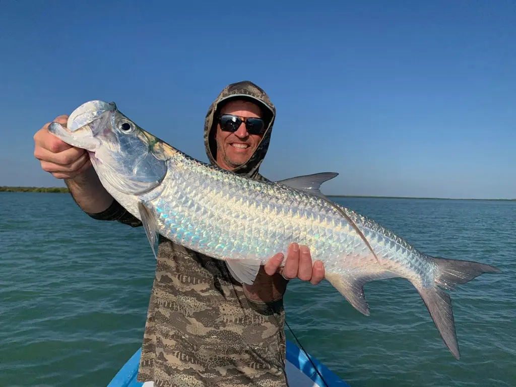 Tarpon fishing during peak migration seasons in Isla Blanca